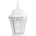 Progress P5582-30 Welbourne Collection One-Light Hanging Lantern Main Image.jpg