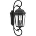 Progress P560017-031 Verdae Collection Three-Light Extra-Large Wall-Lantern Main Image.jpg