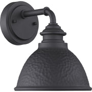 Progress P560097-031 Englewood Collection One-Light Small Wall Lantern Main Image.jpg