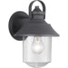 Progress P560120-031 Weldon Collection One-Light Medium Wall Lantern Main Image.jpg