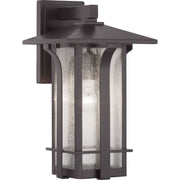 Progress P560125-020 Cullman Collection One-Light Medium Wall Lantern Main Image.jpg