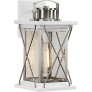 Progress P560156-135 Barlowe Collection Stainless Steel One-Light Small Wall Lantern Main Image.jpg