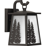 Progress P560161-020 Torrey Collection Antique Bronze One-Light Small Wall Lantern Main Image.jpg