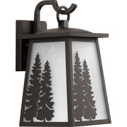 Progress P560162-020 Torrey Collection Antique Bronze One-Light Medium Wall Lantern Main Image.jpg