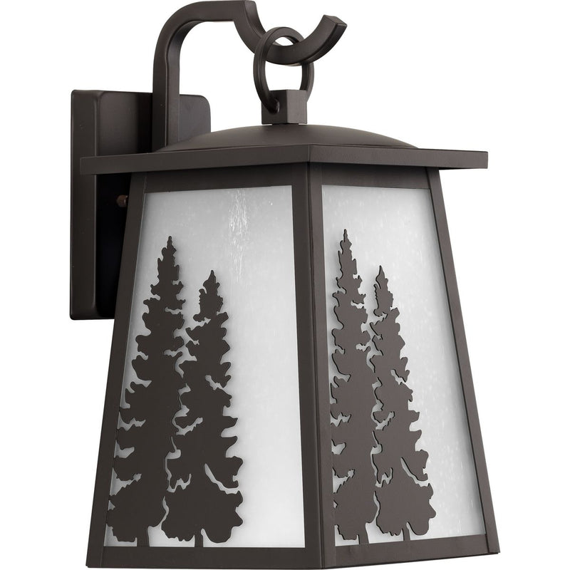 Progress P560162-020 Torrey Collection Antique Bronze One-Light Medium Wall Lantern Main Image.jpg