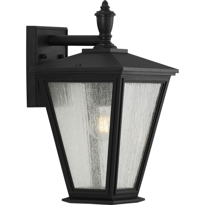 Progress P560167-031 Cardiff Collection One-Light Medium Wall Lantern with DURASHIELD Main Image.jpg