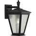 Progress P560167-031 Cardiff Collection One-Light Medium Wall Lantern with DURASHIELD Main Image.jpg