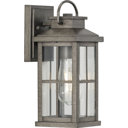 Progress P560264-103 Williamston Collection One-Light Antique Pewter and Clear Glass Transitional Style Small Outdoor Wall Lantern Main Image.jpg