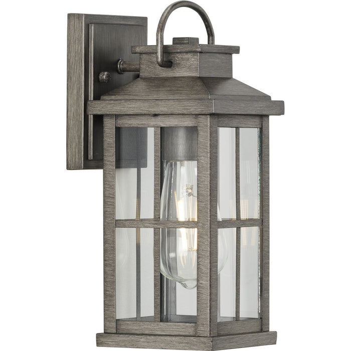 Progress P560264-103 Williamston Collection One-Light Antique Pewter and Clear Glass Transitional Style Small Outdoor Wall Lantern Main Image.jpg