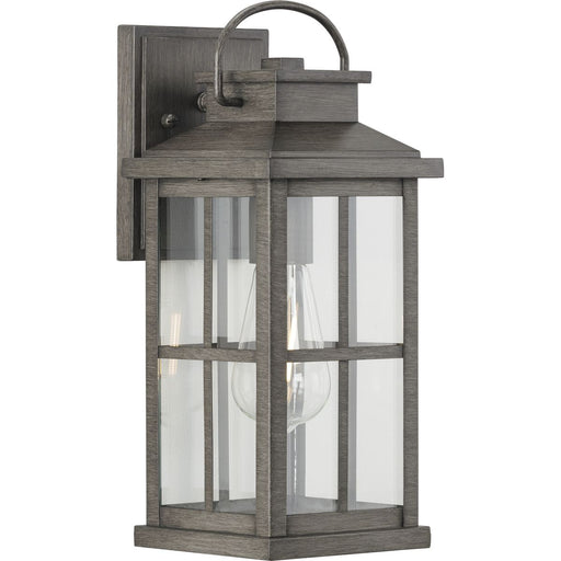 Progress P560265-103 Williamston Collection One-Light Antique Pewter and Clear Glass Transitional Style Medium Outdoor Wall Lantern Main Image.jpg