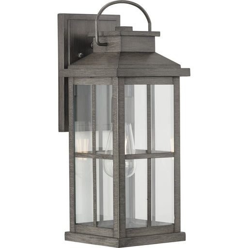 Progress P560266-103 Williamston Collection One-Light Antique Pewter and Clear Glass Transitional Style Large Outdoor Wall Lantern Main Image.jpg