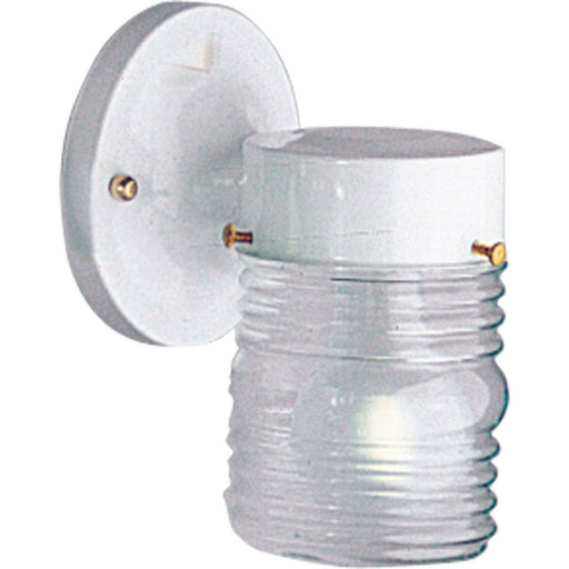 Progress P5602-30 One-Light Utility Wall Lantern Main Image.jpg