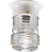 Progress P5603-30 One-Light Utility Outdoor Close-to-Ceiling Main Image.jpg