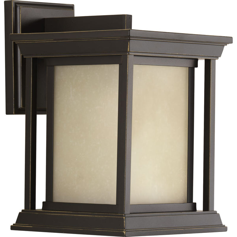 Progress P5605-20 Endicott Collection One-Light Small Wall Lantern Main Image.jpg