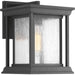 Progress P5605-31 Endicott Collection One-Light Small Wall Lantern Main Image.jpg