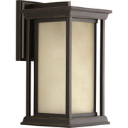 Progress P5610-20 Endicott Collection One-Light Medium Wall Lantern Main Image.jpg