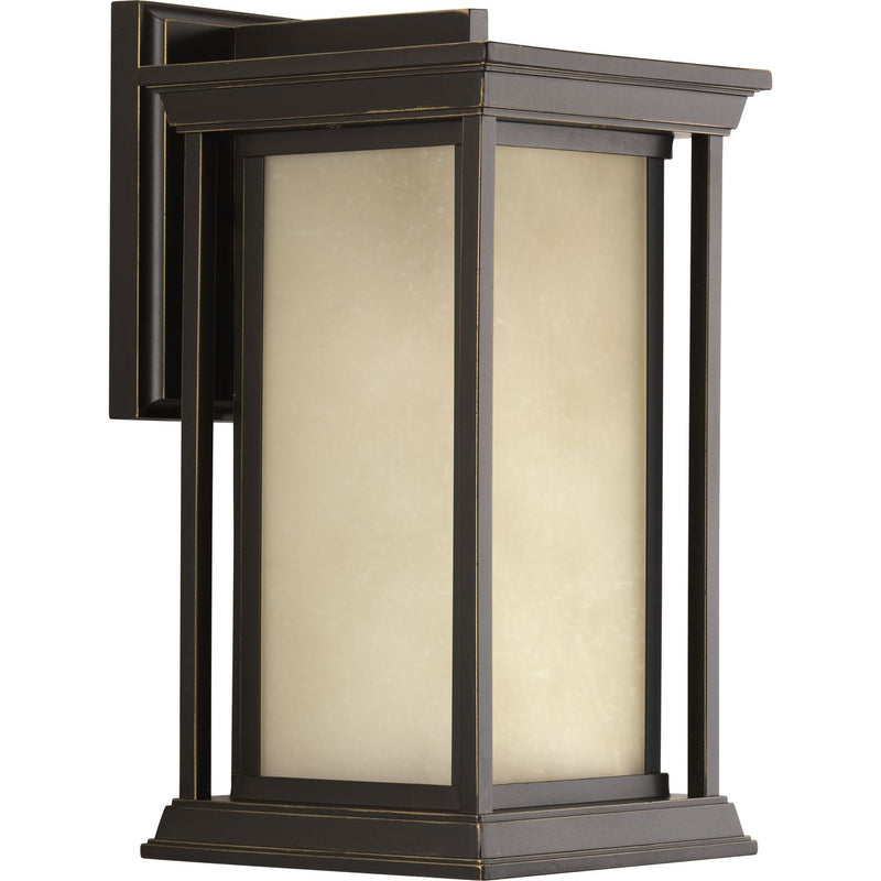 Progress P5610-20 Endicott Collection One-Light Medium Wall Lantern Main Image.jpg