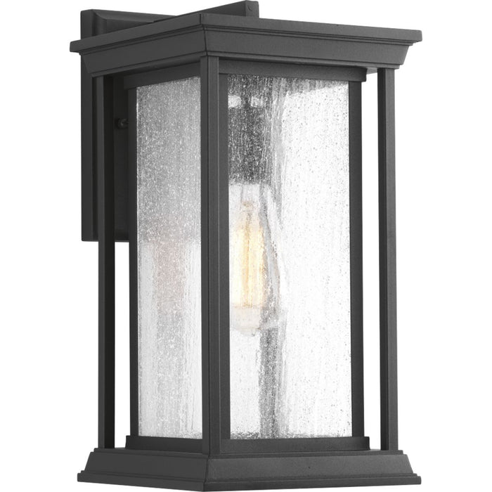 Progress P5610-31 Endicott Collection One-Light Medium Wall Lantern Main Image.jpg
