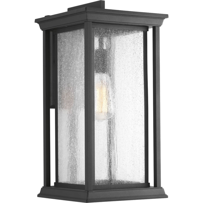 Progress P5613-31 Endicott Collection One-Light Extra-Large Wall Lantern Main Image.jpg