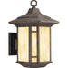 Progress P5629-46 Arts and Crafts Collection One-Light Medium Wall Lantern Main Image.jpg