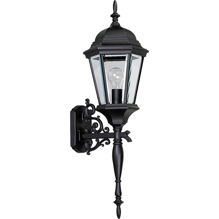 Progress P5684-31 Welbourne Collection One-Light Large Wall Lantern Main Image.jpg