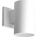 Progress P5712-30 5" Non-Metallic Downlight Wall Cylinder. Main Image.jpg