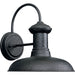 Progress P5722-71 Brookside Collection One-Light Medium Wall Lantern Main Image.jpg