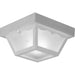 Progress P5744-30 One-Light 8-1/4" Flush Mount for Indoor/Outdoor use Main Image.jpg