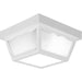 Progress P5745-30 Two-Light 10-1/4" Flush Mount for Indoor/Outdoor use Main Image.jpg