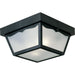 Progress P5745-31 Two-Light 10-1/4" Flush Mount for Indoor/Outdoor use Main Image.jpg