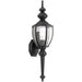 Progress P5767-31 Roman Coach One-Light Medium Wall Lantern Main Image.jpg