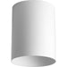 Progress P5774-30/30K 5" White LED Outdoor Flush Mount Cylinder Main Image.jpg