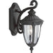 Progress P5820-31 Meridian Collection One-Light Small Wall Lantern Main Image.jpg