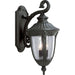 Progress P5822-31 Meridian Collection Two-Light Medium Wall Lantern Main Image.jpg