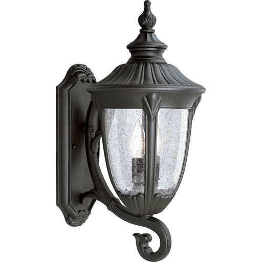 Progress P5823-31 Meridian Collection Two-Light Large Wall Lantern Main Image.jpg