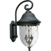 Progress P5829-31 Coventry Collection Two-Light Wall Lantern Main Image.jpg