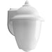 Progress P5844-30 Non-Metallic Incandescent One-Light Outdoor Wall Lantern Main Image.jpg