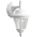 Progress P5862-30 Westport Collection One-Light Small Wall Lantern Main Image.jpg