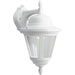 Progress P5863-30 Westport Collection One-Light Medium Wall Lantern Main Image.jpg