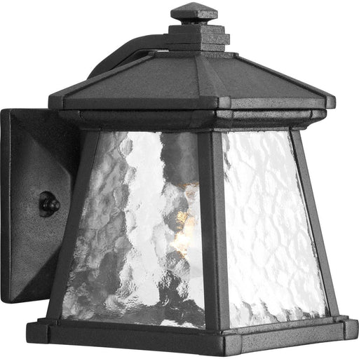 Progress P5906-31 Mac Collection One-Light Small Wall Lantern Main Image.jpg