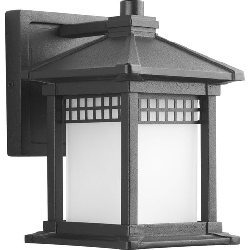 Progress P6000-31 Merit Collection One-Light Wall Lantern Main Image.jpg