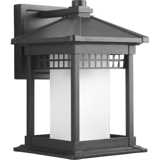 Progress P6001-31 Merit Collection One-Light Wall Lantern Main Image.jpg