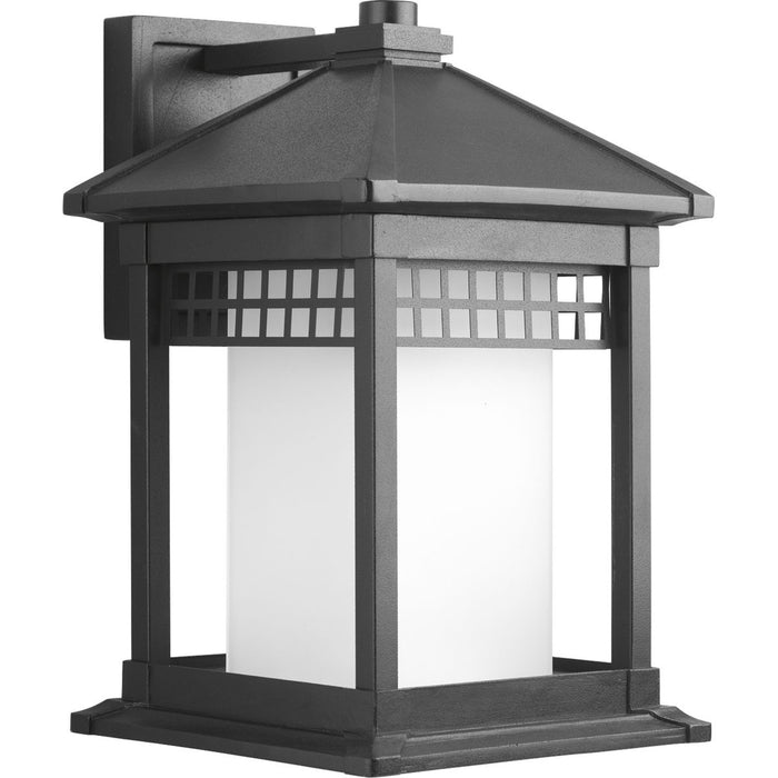 Progress P6002-31 Merit Collection One-Light Wall Lantern Main Image.jpg