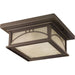 Progress P6055-20 Residence Collection Two-Light 12" Outdoor Flush Mount CTC Main Image.jpg