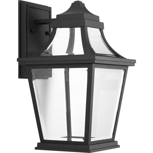 Progress P6057-3130K9 Endorse Collection One-Light Medium Wall Lantern Main Image.jpg