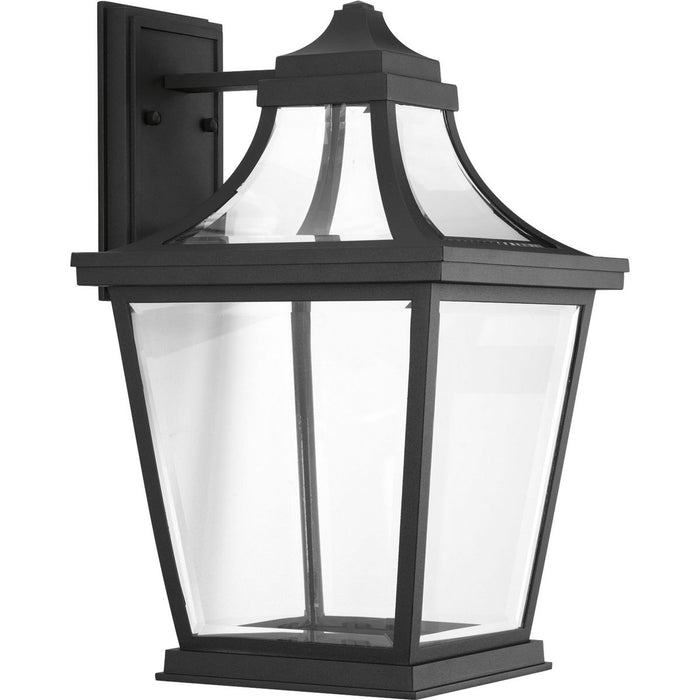 Progress P6058-3130K9 Endorse Collection One-Light Large Wall Lantern Main Image.jpg