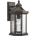 Progress P6072-20 Edition Collection One-Light Large Wall Lantern Main Image.jpg