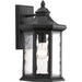 Progress P6072-31 Edition Collection One-Light Large Wall Lantern Main Image.jpg