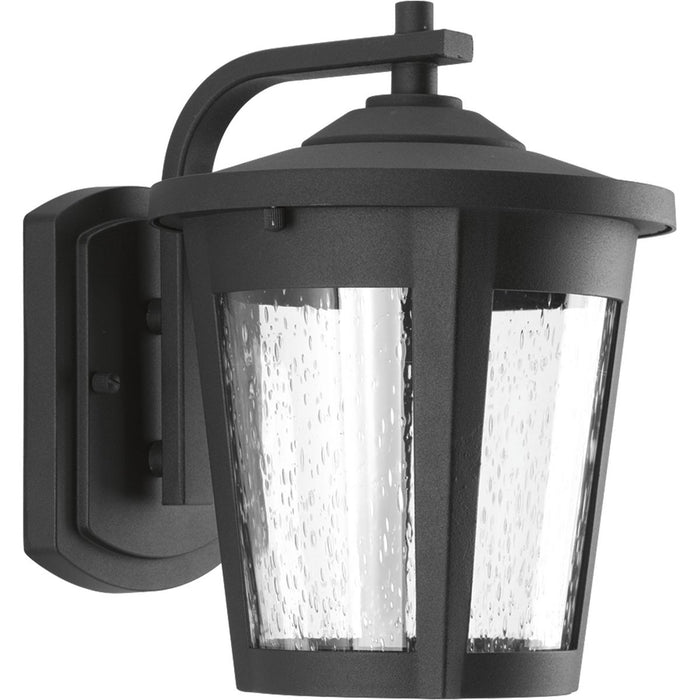 Progress P6078-3130K9 East Haven Collection One-Light Medium LED Wall Lantern Main Image.jpg