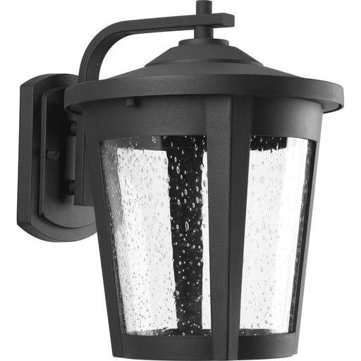 Progress P6079-3130K9 East Haven Collection One-Light Large LED Wall Lantern Main Image.jpg